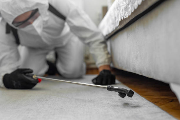 Professional Pest Control technician working in Echols County County, GA